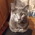 Marilee Phillips Austin - Facebook