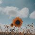 Marilee Clarke - Facebook