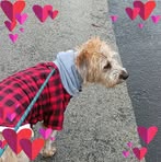 Mari-Lee Cox - Facebook