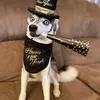 maile_mitchell - @maile_mitchell - TikTok