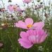 Marilyn Ray - Facebook