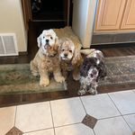 Marilee S Smith Fitch - @marileessmith - Instagram