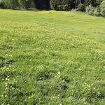 Marilena Parisi - @marilena.parisi.125 - Instagram
