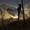 marilenaparisi616 - @marilenaparisi616 - TikTok
