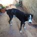 Marilu Arroyo - Facebook