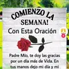 Marilú Padilla - @suznnarell - TikTok