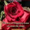 Marilus Perez - @marilus.perez2 - TikTok