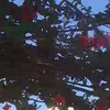 Mariluz Tapia - @mariluz.tapia0 - TikTok