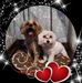 Mariluz Tapia - Facebook