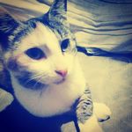 Marilyn Abreu - @rubenschacon18 - Instagram