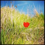 Marilynn Adler - @marilynn_adler - Instagram