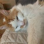 Marilyn Aiken - @marilyn.aiken.54 - Instagram