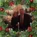 Marilyn Aiken - Facebook