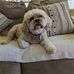 Marilyn Allison - Facebook