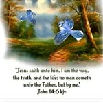 Marilyn Amey - @godjesuslovescats - Instagram