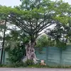 Marilyn_Andre - @marilyn_andre - TikTok