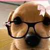 Lily - @marilynangel8 - TikTok