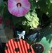Marilyn Benson-Angelo - Facebook