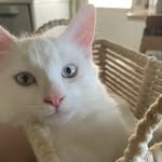 Marilyn Anglin - @marilyn_68707380 - Instagram