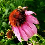 Marilyn Archer - @marilynarcher28 - Instagram