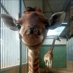 Marilyn Arndt - @marilyn.arndt - Instagram