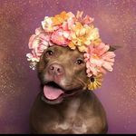 Marilyn Ayelen arndt - @marilynayelenarndt - Instagram