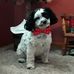 Marilyn Ashby - Facebook