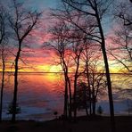 Marilyn Stolt Backer - Facebook