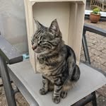 Marilyn Bacon - @daisy.mae225 - Instagram