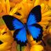 Marilyn Baines - Facebook