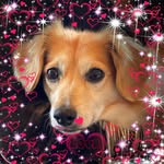 Marilyn Mogaard Baldwin - @clothsline - Instagram