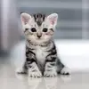 Pet sociu ❤️😘❤️😂☺️ - @marilynbaldwin19896 - TikTok