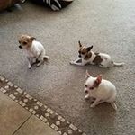 Marilyn Barnard - @marilyn_barnard - Instagram