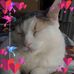 Marilyn Barrow - Facebook