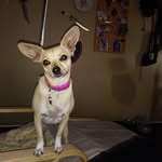 Marilyn Barrow - @mimibei34 - Instagram