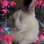 Marilyn Barrow - @marilynbarrow1 - Instagram