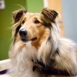 Marilyn Baumgardt - @marilynbaumgardt - Instagram
