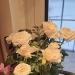 Marilyn Joy Bauman - @baumanmarilyn48 - Instagram