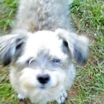 Marilyn Bearden - @marilynbearden2 - Instagram