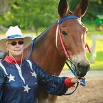 Marilyn Bender - @bendermules - Instagram