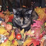Marilyn Johnson Bender - @marilyn.bender2 - Instagram