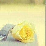 marilyn a bennett - @marilynbennett24 - Instagram