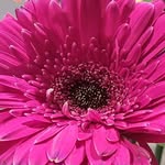 Marilyn Bennett - @marilynbennettartist - Instagram