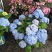 Marilyn Benton - Facebook