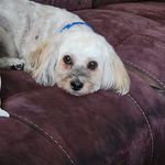 Marilyn M. Benton - @bentonmarilyn - Instagram