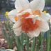 Marilyn Billinger - Facebook