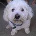 Marilyn Bittner - Facebook