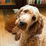 Marilyn Blair - @marilynblair555 - Instagram