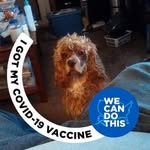 Marilyn Bogle - @marilyn.bogle.70 - Instagram