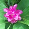 luh_112 - @marilynbolingling - TikTok